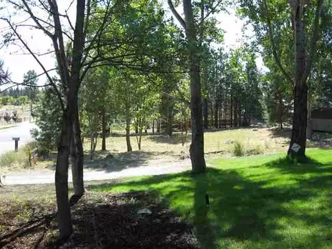 520 E Silver Pine Ct, Colbert, WA 99005 photo 9