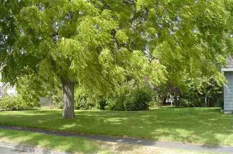 1101 E Crown Ave, Spokane, WA 99207 photo 2