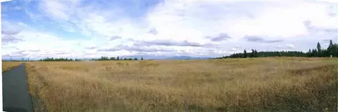 419 E Wildrose Rd, Colbert, WA 99005 photo 4