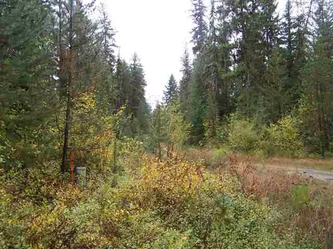 172 Pine Dr, Cusick, WA 99119 photo 5