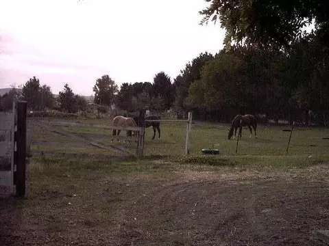 10020 Maple Dr, Pasco, WA 99301 photo 2