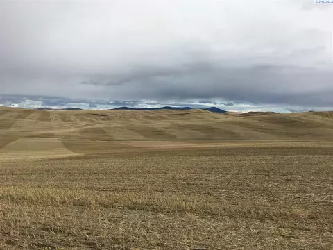 81 Warren Rd, Pullman, WA 99163 photo 1