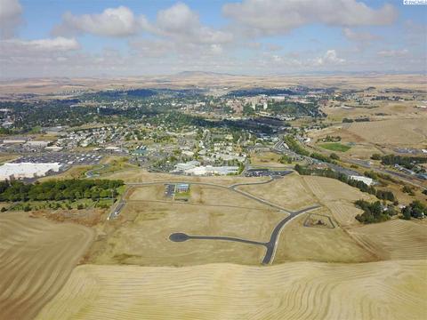 1046 SE Bypass Dr, Pullman, WA 99163 photo 1