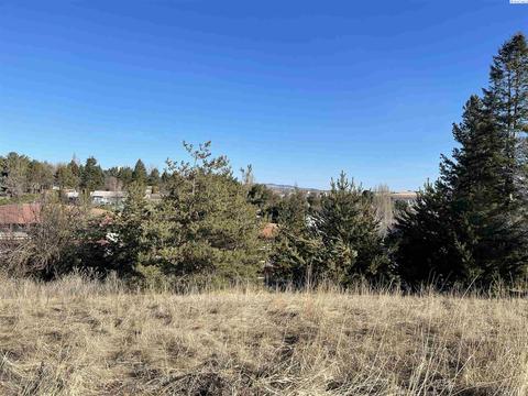 130 NW 140 Nw Ann St, Pullman, WA 99163 photo 1