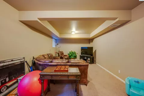 235 SW Prairie Ct, Pullman, WA 99163 photo 23
