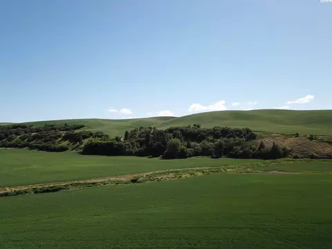 1901 Union Flat Rd, Pullman, WA 99163 photo 24