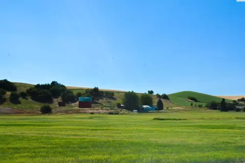 4451 Ryan Rd, Pullman, WA 99163 photo 29