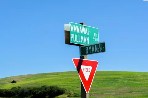 4451 Ryan Rd, Pullman, WA 99163 photo 28
