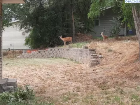 349 NW Harrison St, Pullman, WA 99163 photo 28