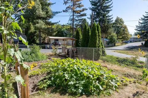 205 SW Elm St, Pullman, WA 99163 photo 22