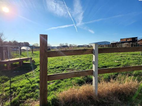 2600 N Rd 60, Pasco, WA 99301 photo 6