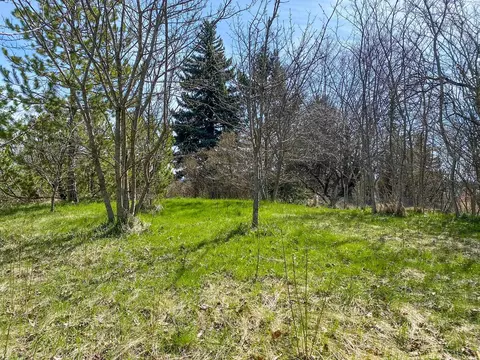 515 SW Walnut St, Pullman, WA 99163 photo 16
