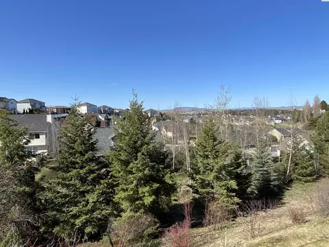 990 SW Meyer Dr, Pullman, WA 99163 photo 29