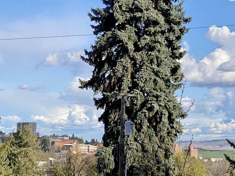 509 NW Sunset Dr, Pullman, WA 99163 photo 17