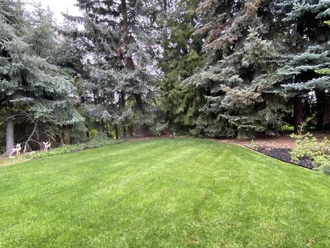 1105 SE Kamiaken St, Pullman, WA 99163 photo 41