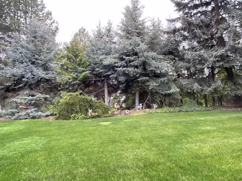 1105 SE Kamiaken St, Pullman, WA 99163 photo 43