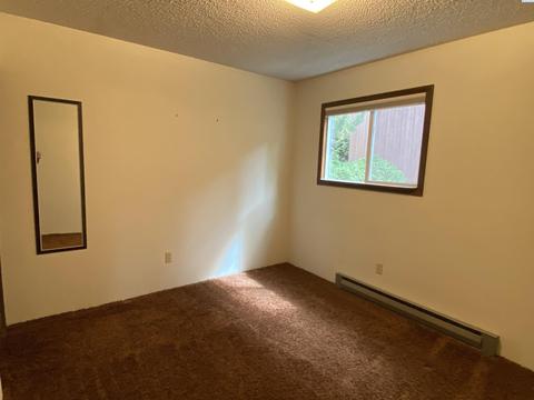 230 SE South St, Pullman, WA 99163 photo 20