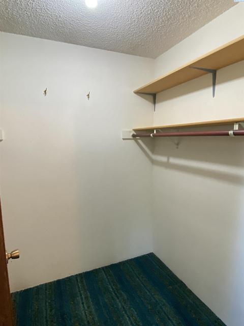 230 SE South St, Pullman, WA 99163 photo 22