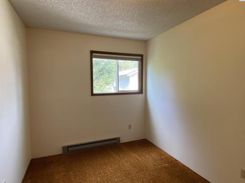230 SE South St, Pullman, WA 99163 photo 19