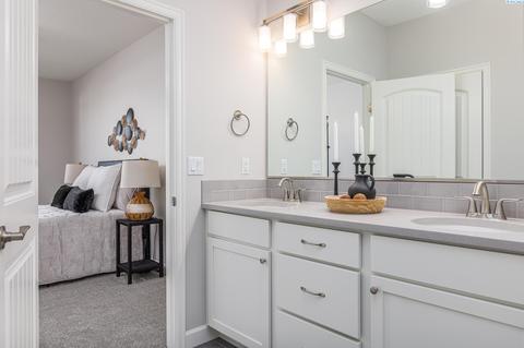 8601 Silver Mound Dr, Pasco, WA 99301 photo 16