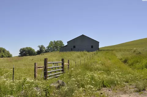 102 Ryan Rd, Pullman, WA 99163 photo 34