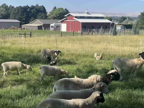 6217 Killdeer Ln, Pasco, WA 99301 photo 46