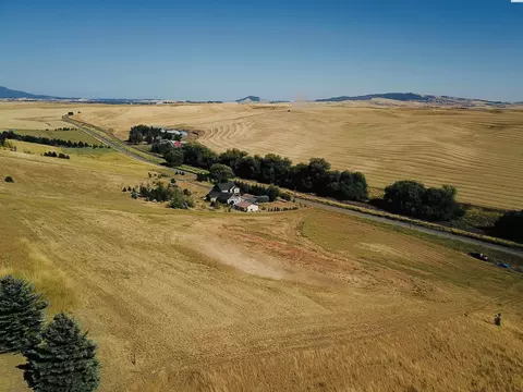 1303 Sunshine Rd, Pullman, WA 99163 photo 10