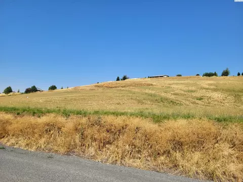 1303 Sunshine Rd, Pullman, WA 99163 photo 6