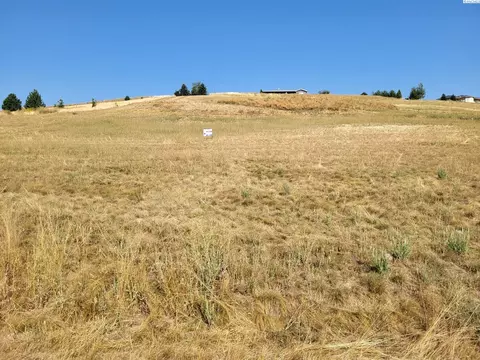 1303 Sunshine Rd, Pullman, WA 99163 photo 3