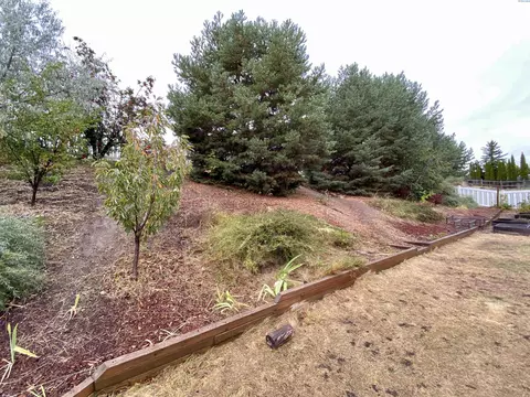 2125 NW Robert St, Pullman, WA 99163 photo 45