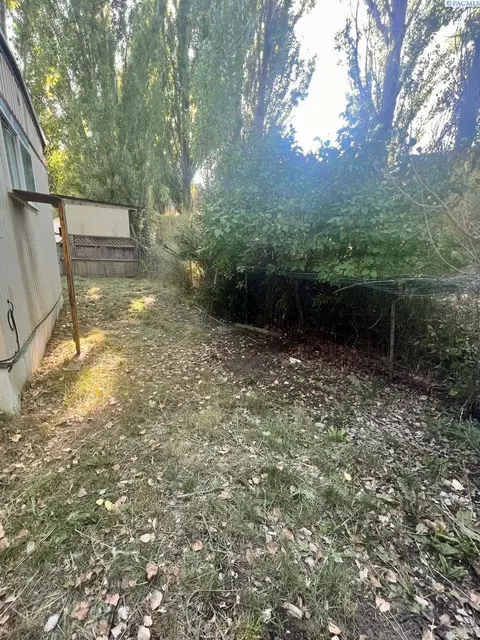 1165 S Grand Ave #111, Pullman, WA 99163 photo 17