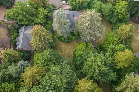 975 NE B St, Pullman, WA 99163 photo 22
