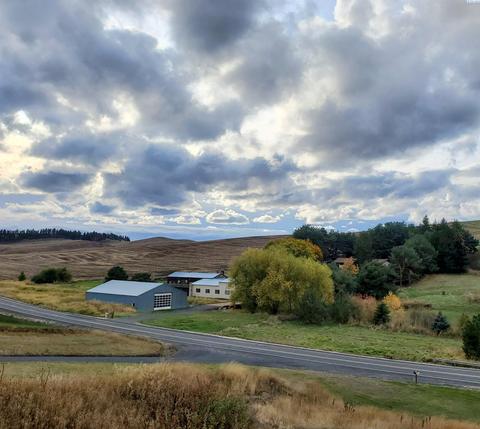 6272 Sand Rd, Pullman, WA 99163 photo 2