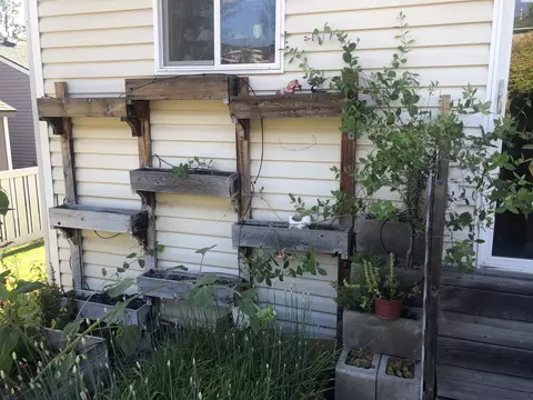 1730 NW Ventura Dr, Pullman, WA 99163 photo 32