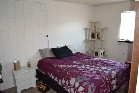 1105 NW Nye St, Pullman, WA 99163 photo 9