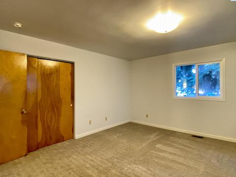 425 SE Dilke St, Pullman, WA 99163 photo 22