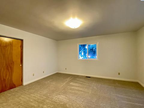 425 SE Dilke St, Pullman, WA 99163 photo 18