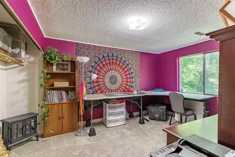 935 SE Kamiaken St, Pullman, WA 99163 photo 26