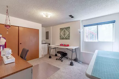 935 SE Kamiaken St, Pullman, WA 99163 photo 28