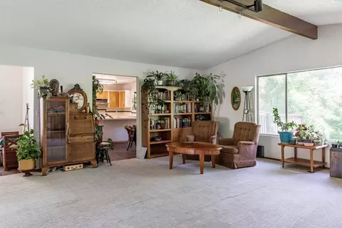 935 SE Kamiaken St, Pullman, WA 99163 photo 8