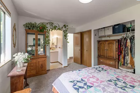 935 SE Kamiaken St, Pullman, WA 99163 photo 14