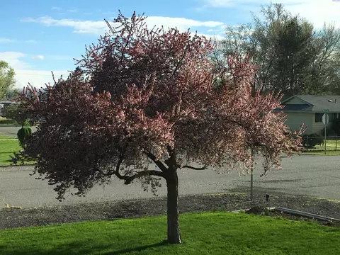 6121 W Melville Rd, Pasco, WA 99301 photo 12