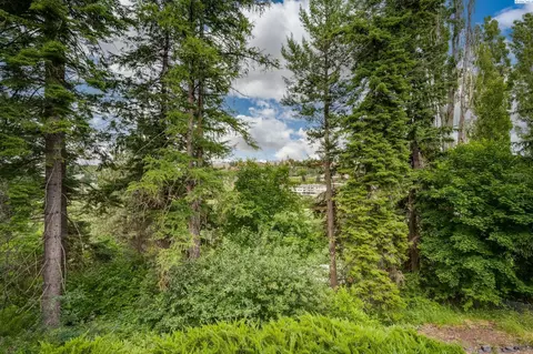 732 SE Ridgeview Ct, Pullman, WA 99163 photo 2