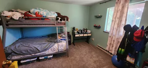 375 NW Dillon St, Pullman, WA 99163 photo 13