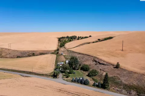 1502 Union Flat Rd, Pullman, WA 99163 photo 36
