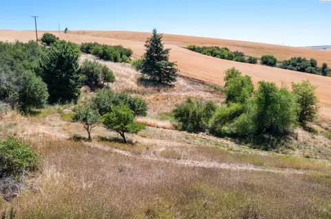 1502 Union Flat Rd, Pullman, WA 99163 photo 33