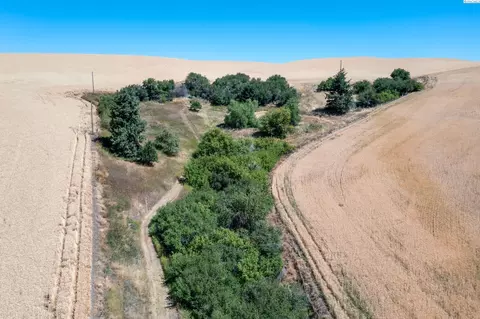 1502 Union Flat Rd, Pullman, WA 99163 photo 32