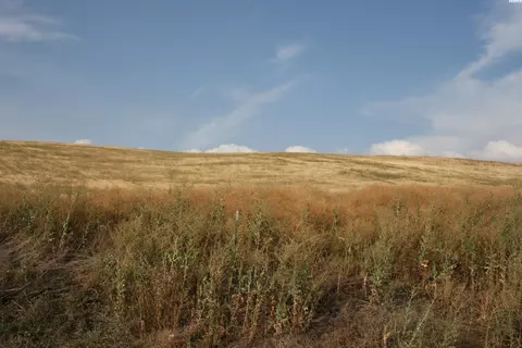 1522 Orville Boyd Rd, Pullman, WA 99163 photo 3