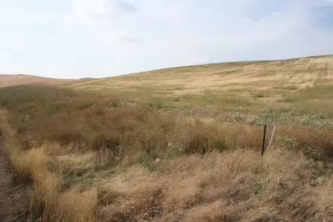 1522 Orville Boyd Rd, Pullman, WA 99163 photo 4