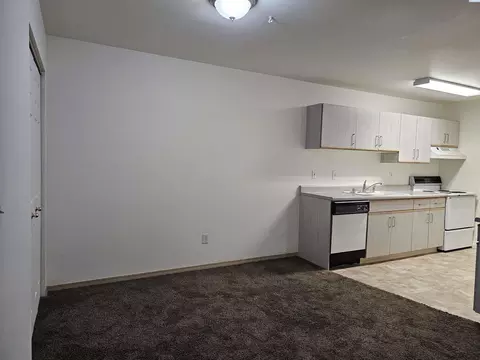 1645 NE Merman Dr #A204, Pullman, WA 99163 photo 11